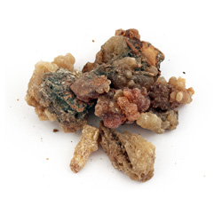 Räucherwerk / Reine R&auml;ucherstoffe / Copal negro, Peru, Trattinickia spp., im Beutel (25g)